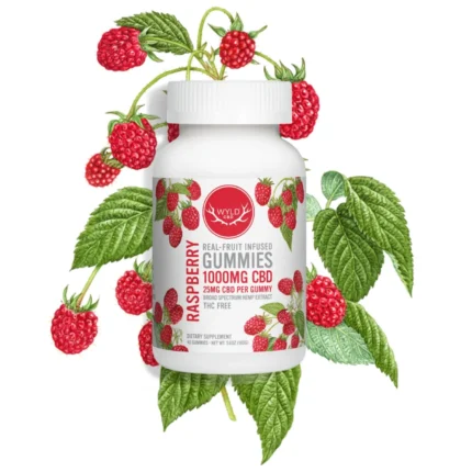 Wyld Raspberry Gummies – Natural Fruit-Infused Gummies for Daily Balance & Energy Support